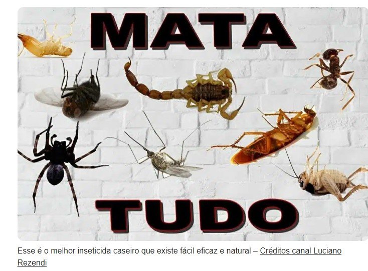 Esse é o melhor inseticida caseiro que existe fácil eficaz e natural