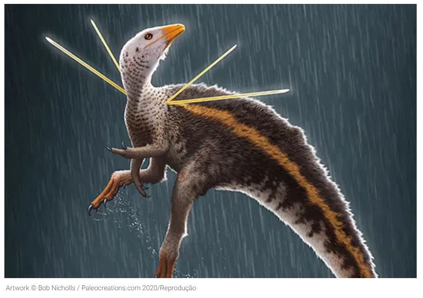 Entenda a polêmica do novo dinossauro brasileiro – descoberto por gringos