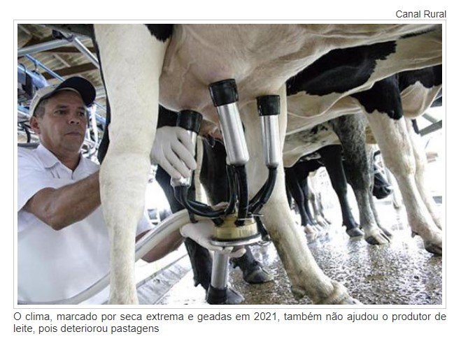 Preço ao produtor de leite em Mato Grosso despenca e setor sofre