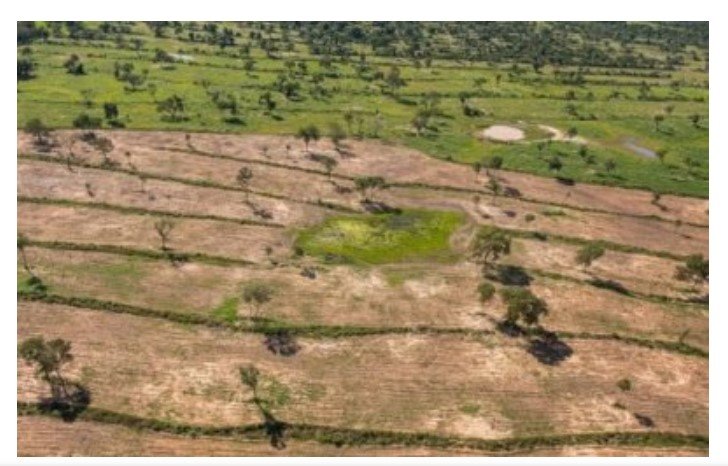 TJ proíbe fazendeiro de explorar área desmatada; MP tenta bloquear contas em MT