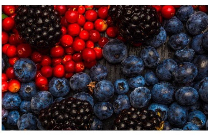 Resveratrol: entenda tudo sobre o ativo antienvelhecimento