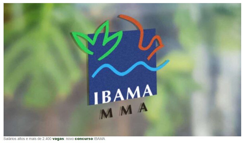 Salários altos e mais de 2.400 vagas: novo concurso IBAMA