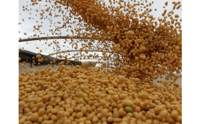 Clima prejudica plantio de soja em Mato Grosso e no Paraná