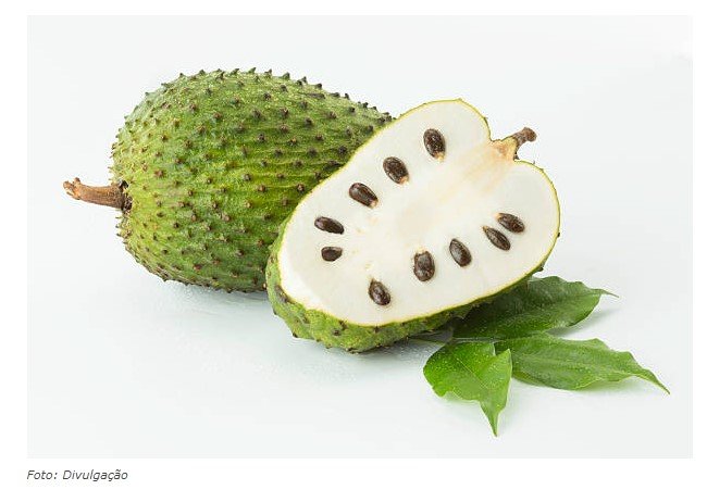 Graviola: 4 benefícios da fruta e de seu suco