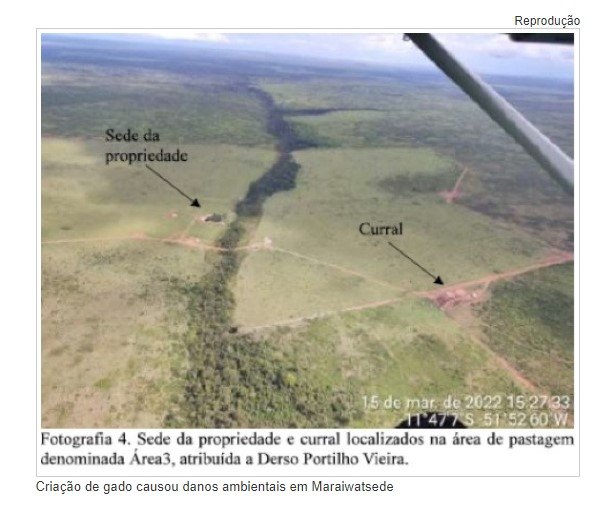 Juíza nega absolvição a fazendeiro que criava gado em terra indígena