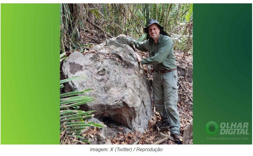 Fóssil de árvore que viveu antes dos dinossauros é encontrado no Brasil