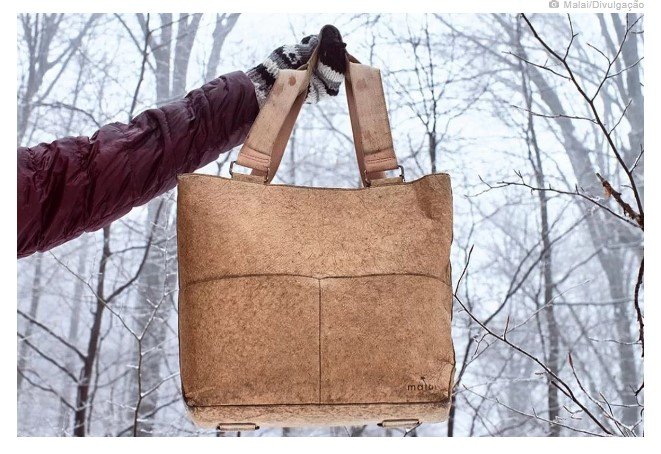 Conheça startup que produz peças de 'couro' a partir de água de coco