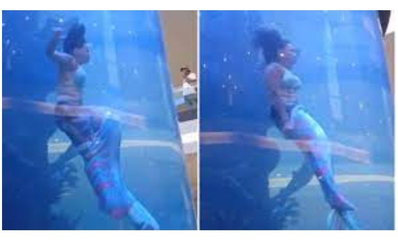 Sereia quase se afoga em aquário instalado num shopping
