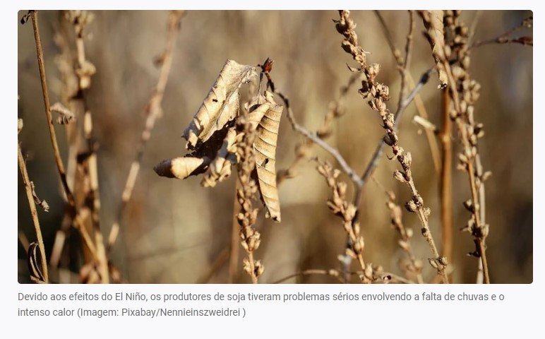 Mato Grosso pode ver quebra de 50% para safra de soja por El Niño, aponta estudo