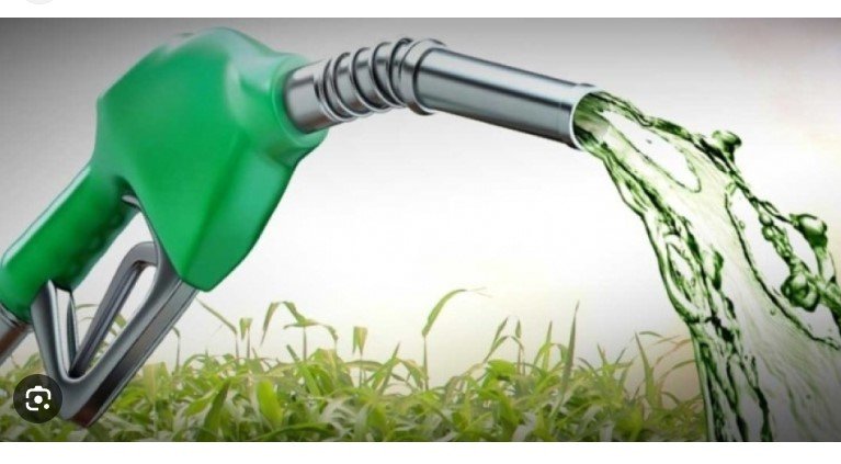 Brasil decide elevar mistura de biodiesel em 2024 para 14%; suspende importação