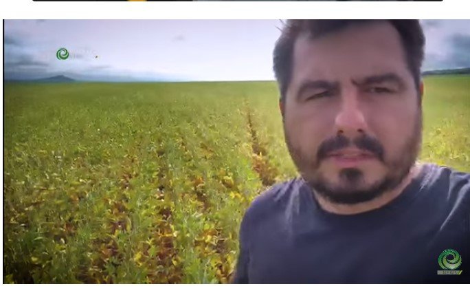 Produtor mostra realidade assustadora da safra em MT e afirma manipulação de mercado