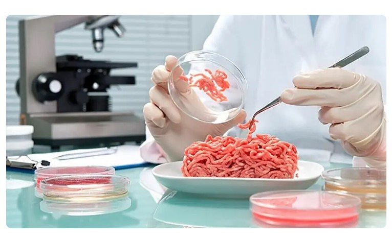‘Carne’ cultivada em laboratório é aprovada no Brasil