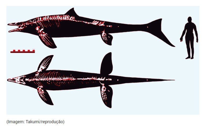Paleontólogos encontram fósseis de ‘dragão’ no Japão