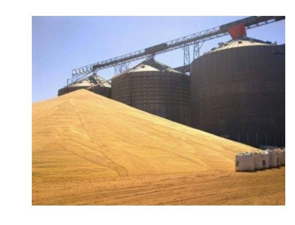 Justiça aprova recuperação de 'gigante do agro' com atuação em MT