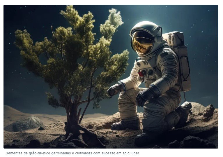Pela primeira vez, cientistas conseguem cultivar sementes em solo lunar