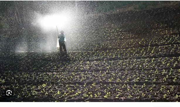 Micronização de fertilizantes auxilia manejo de soja e cana