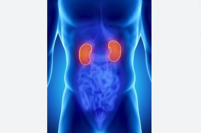 Câncer renal é silencioso, mas ainda pode apresentar sinais; veja quais