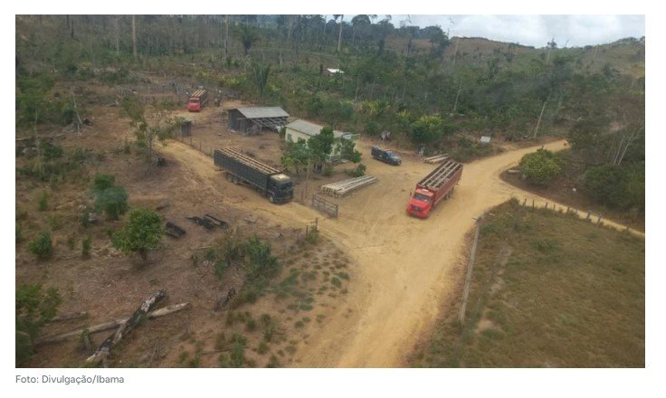 Justiça determina retirada de gado de terra indígena