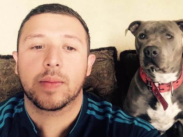 Pit Bull acolhe gata grávida em sua casinha para que ela dê à luz.