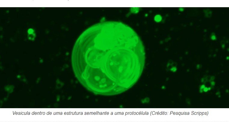 Origem da vida na Terra pode ter sido descoberta