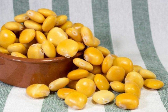 O que é tremoço? Benefícios e como deve ser consumido