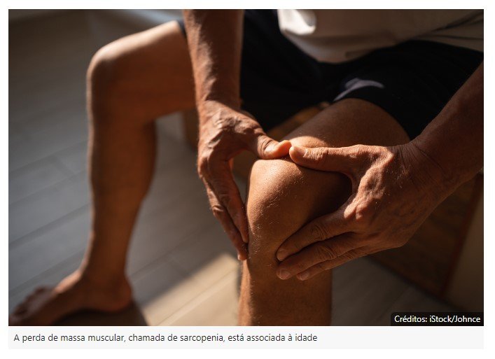 Consumo desta bebida ajuda a prevenir perda de massa muscular