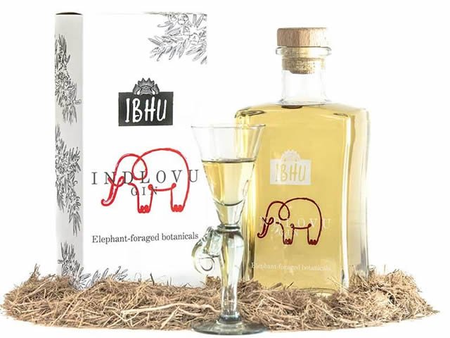 GIN PRODUZIDO COM FEZES DE ELEFANTE É A NOVIDADE DOS DESTILADOS