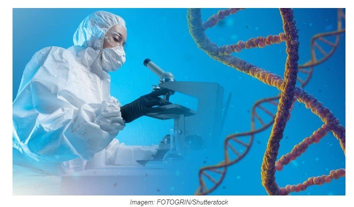 Cientistas descobrem maior genoma da Terra – e não foi em humanos