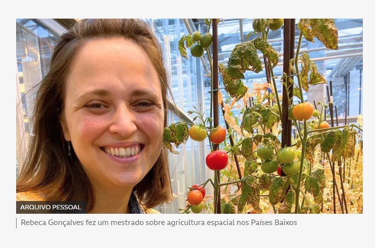 Tomates marcianos? Brasileira usa técnica maia para criar plantações em Marte