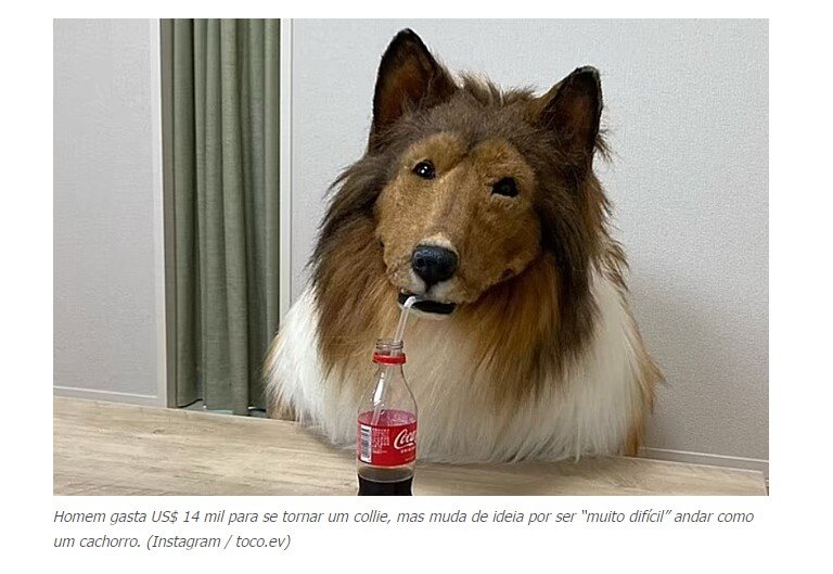 Homem que gastou 'fortuna' para se tornar um collie reconsidera decisão por achar 'muito difícil' andar como um cachorro