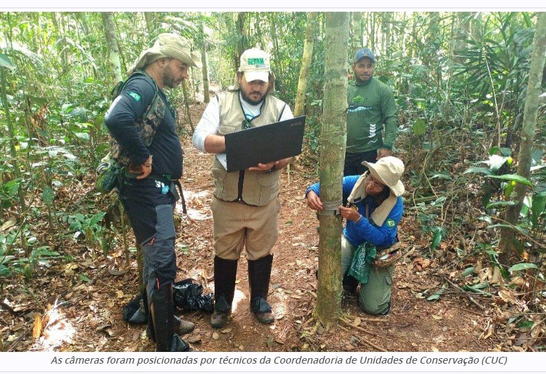 Estratégias de monitoramento do Governo de RO revelam presença de espécie rara em reserva estadual