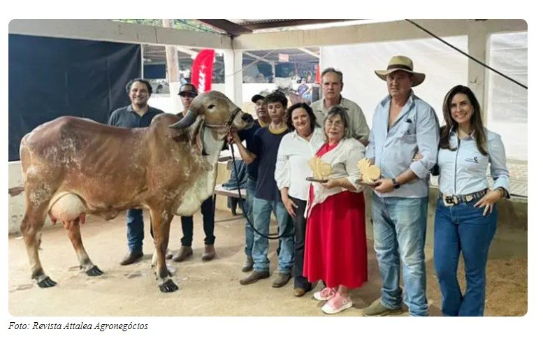 Clone de vaca campeã produz 189,79 kg de leite e tem a 2ª maior produção mundial