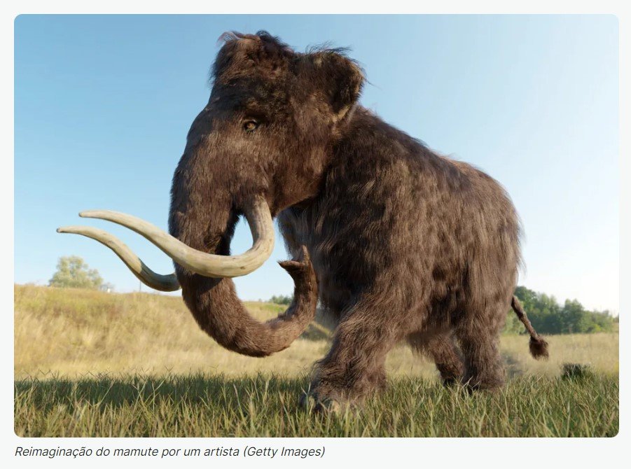 Fóssil de mamute de 52 mil anos revoluciona a ciência e pode ser a luz no fim do túnel para trazer espécie da extinção