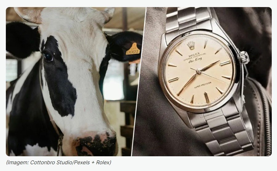 Fazendeiro achou que vaca tinha comido seu Rolex; 50 anos depois ele pegou o relógio de volta precisando de uma lavagem profunda