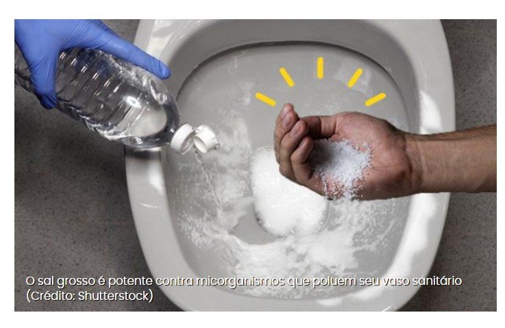 Veja por que deve colocar sal grosso no vaso sanitário todas as noites