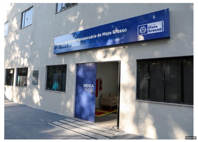 Indea confirma caso de raiva bovina em Porto Estrela