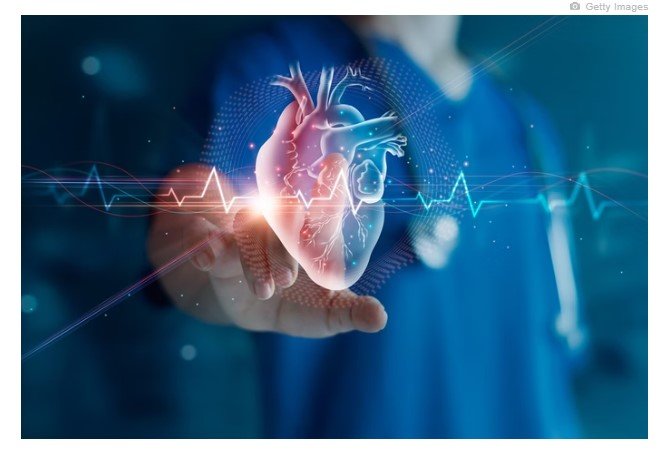 Cardiologista compartilha 5 alimentos que 'limpam' os vasos sanguíneos
