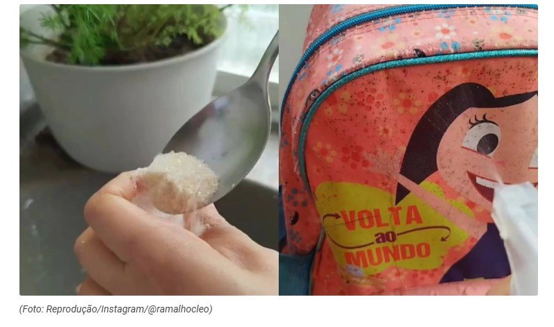 A melhor maneira de remover o mofo impregnado nas coisas (deixa limpo na hora)