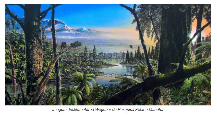Floresta tropical já existiu perto da Antártica