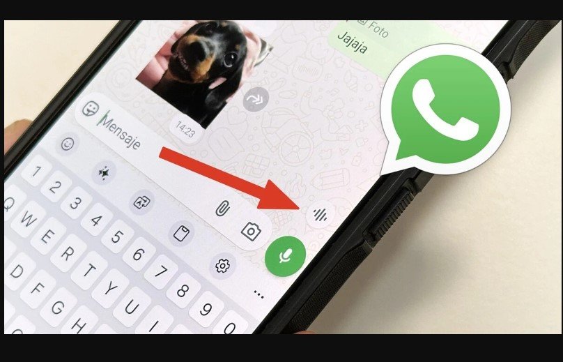 Se você ver esse ícone de barrinhas no seu WhatsApp, ele acabou de receber uma das melhores funções; o que significa e como usar