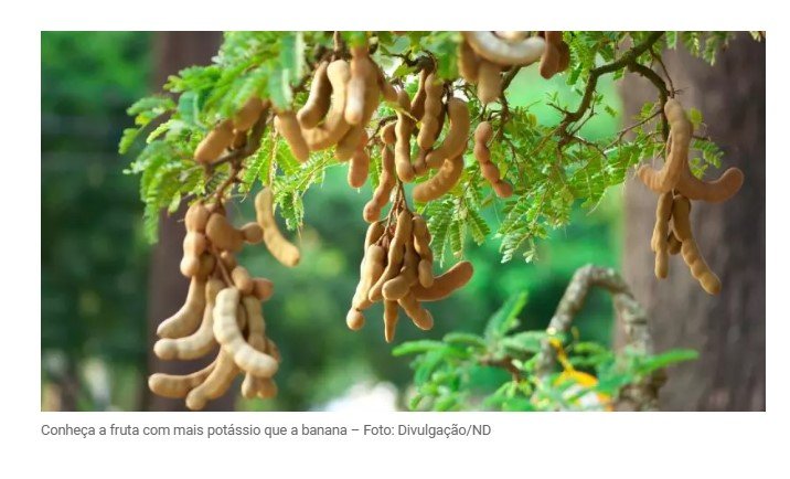 Fruta com 8 vezes mais potássio que a banana acalma dores musculares e regenera pós-treino