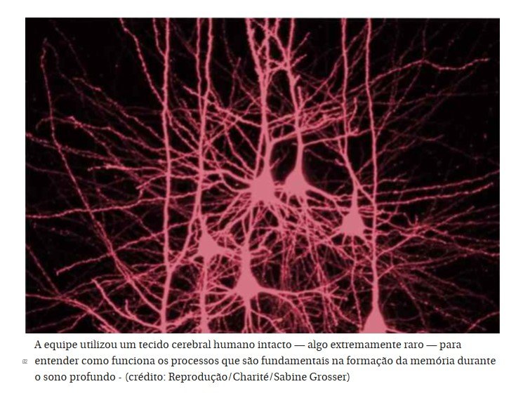 Sono profundo ajuda na memória, desvendam os cientistas