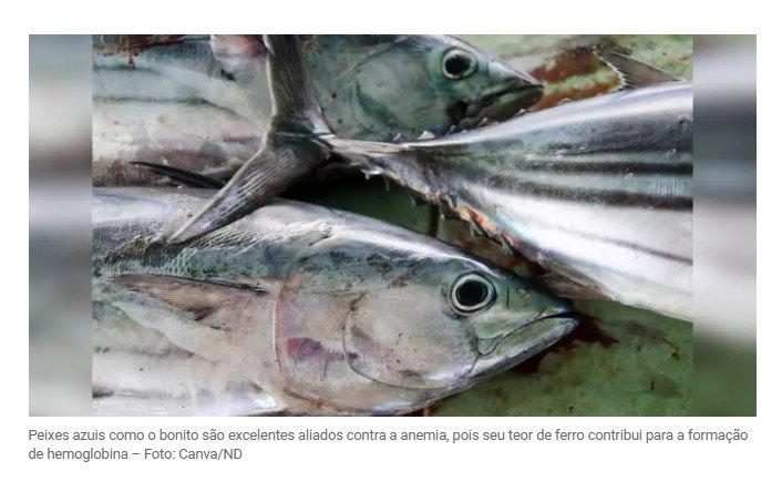 Conheça o peixe que reduz a formação de coágulos nas artérias e previne a anemia