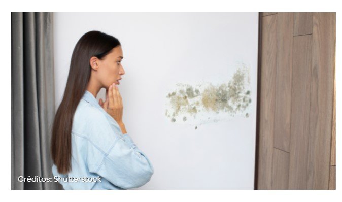 Nem vinagre, nem amônia: aqui está o truque de especialista para remover sem esforço o mofo preto das juntas entre azulejos