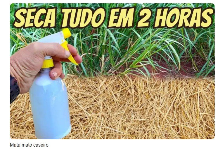 Como fazer mata mato caseiro: funciona de verdade sem precisar mexer com veneno em casa