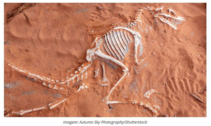Fósseis de dinossauros com biomoléculas orgânicas são encontrados