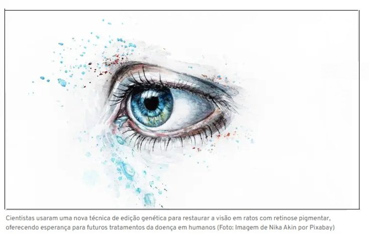 Técnica inovadora recupera visão de ratos e pode chegar a humanos