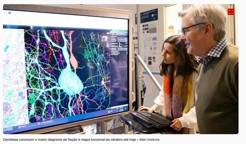 Cientistas revelam avanço em pesquisa cerebral considerado impossível