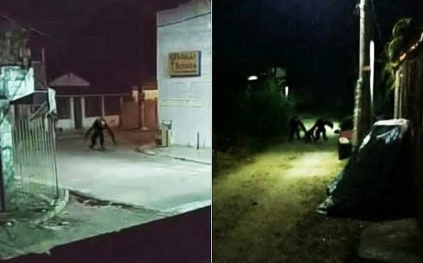 CHUPA-CABRA? LOBISOMEM? CRIATURA ESTRANHA ASSOMBRA ITAPARICA