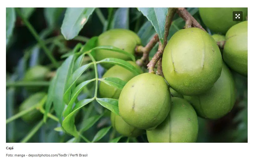 Veja qual é a fruta mais poderosa contra inflamações e dores do dia a dia